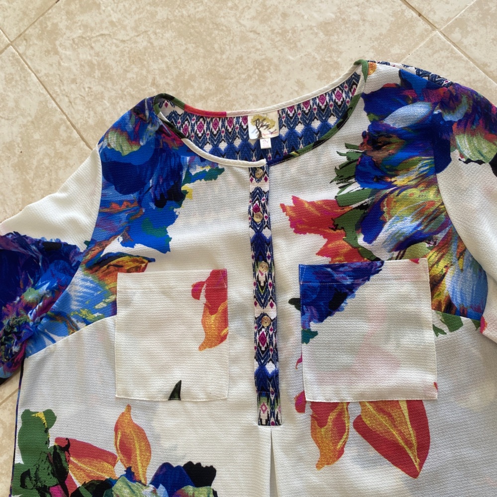 Anthropologie Fig and Flower Popover Tunic  Top 3/4 Sleeve Multicolor Floral 2X